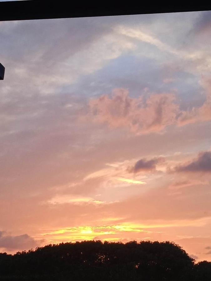 Au Soleil Couchant Villemoustaussou Exteriör bild